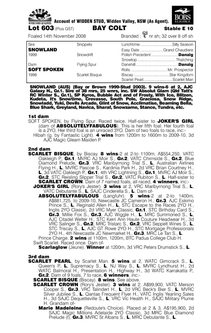 Ninetyfive Rocket - pedigree