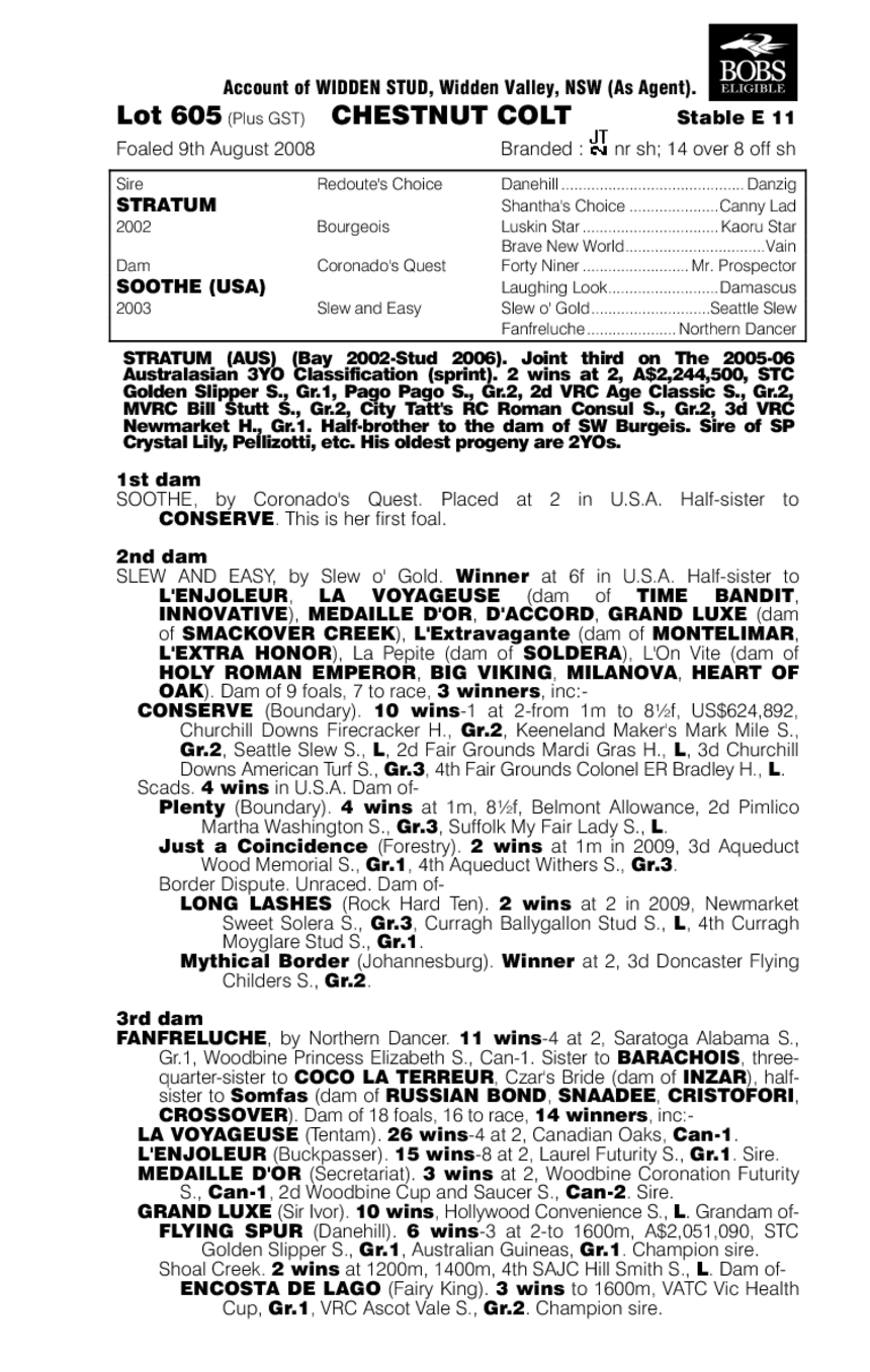 Windsplitter - pedigree