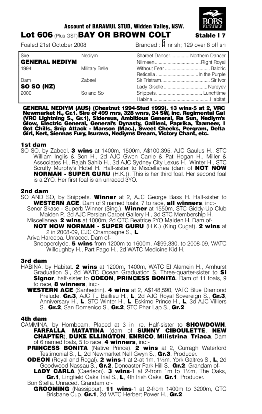 Good Old Boy - pedigree