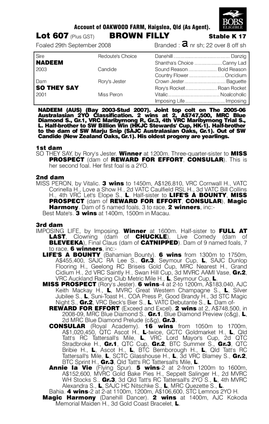 Beautiful Vice - pedigree