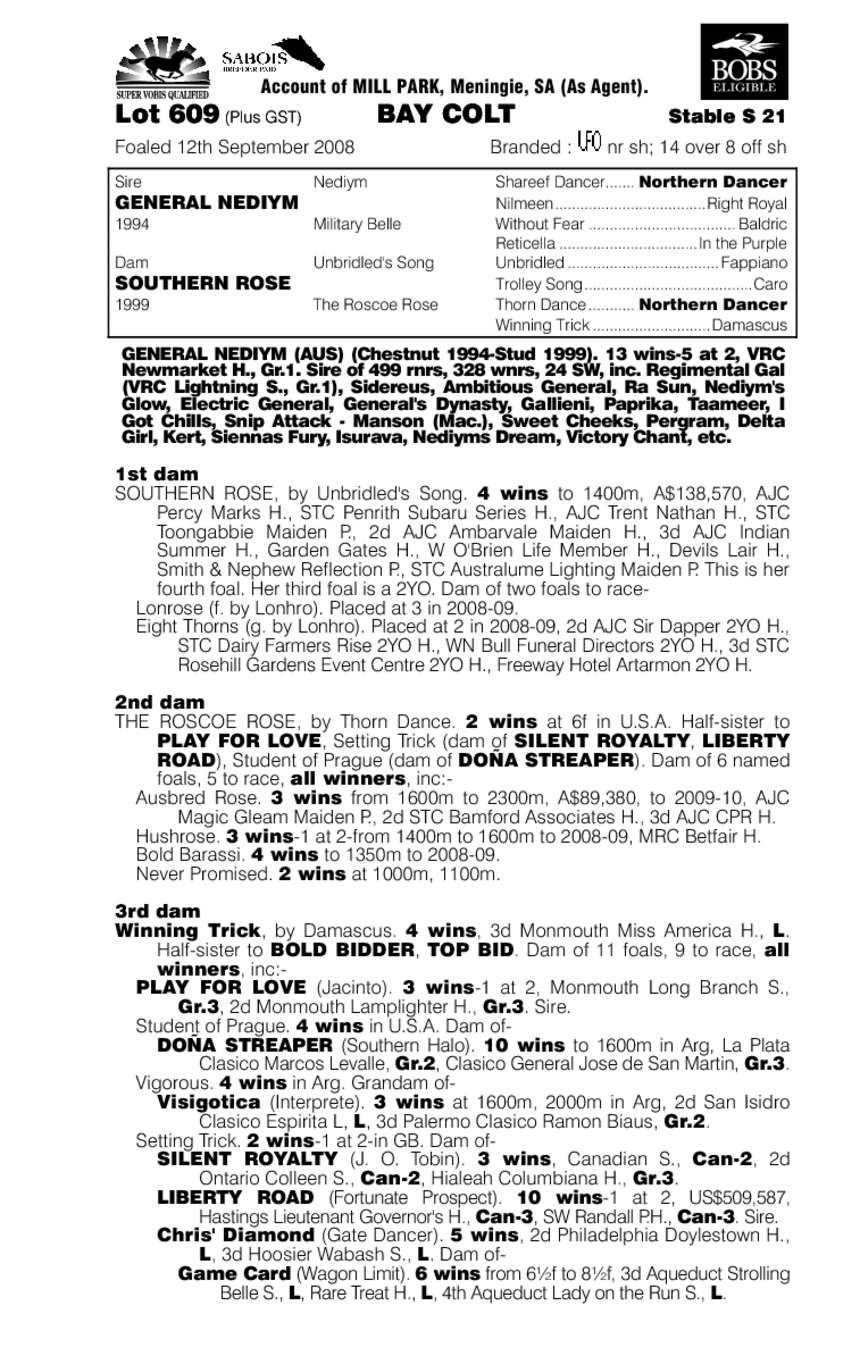 War Charm - pedigree