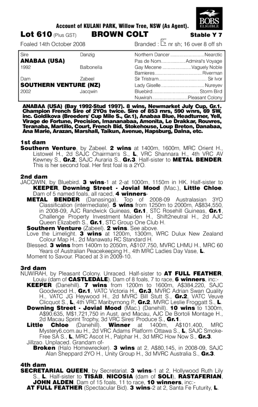 Showpony Express - pedigree