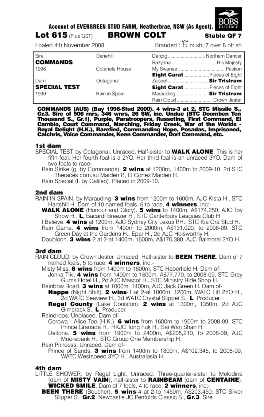 Fierce Command - pedigree