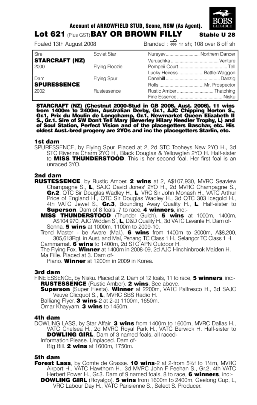 Dark Matter - pedigree