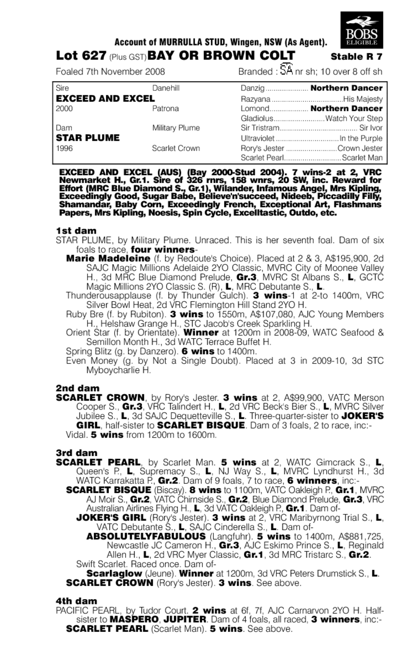 Masterstroke - pedigree