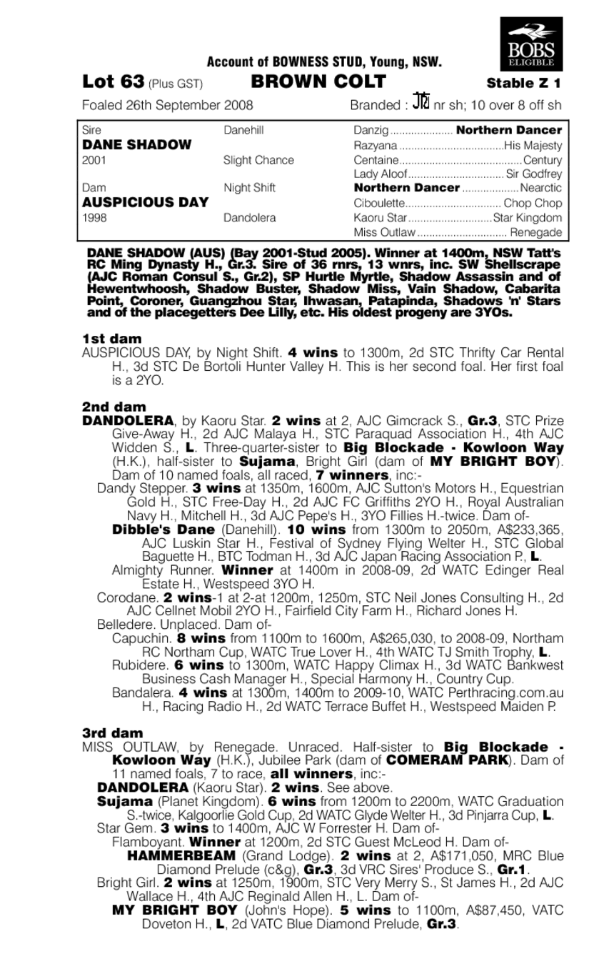 Whisky Prince - pedigree