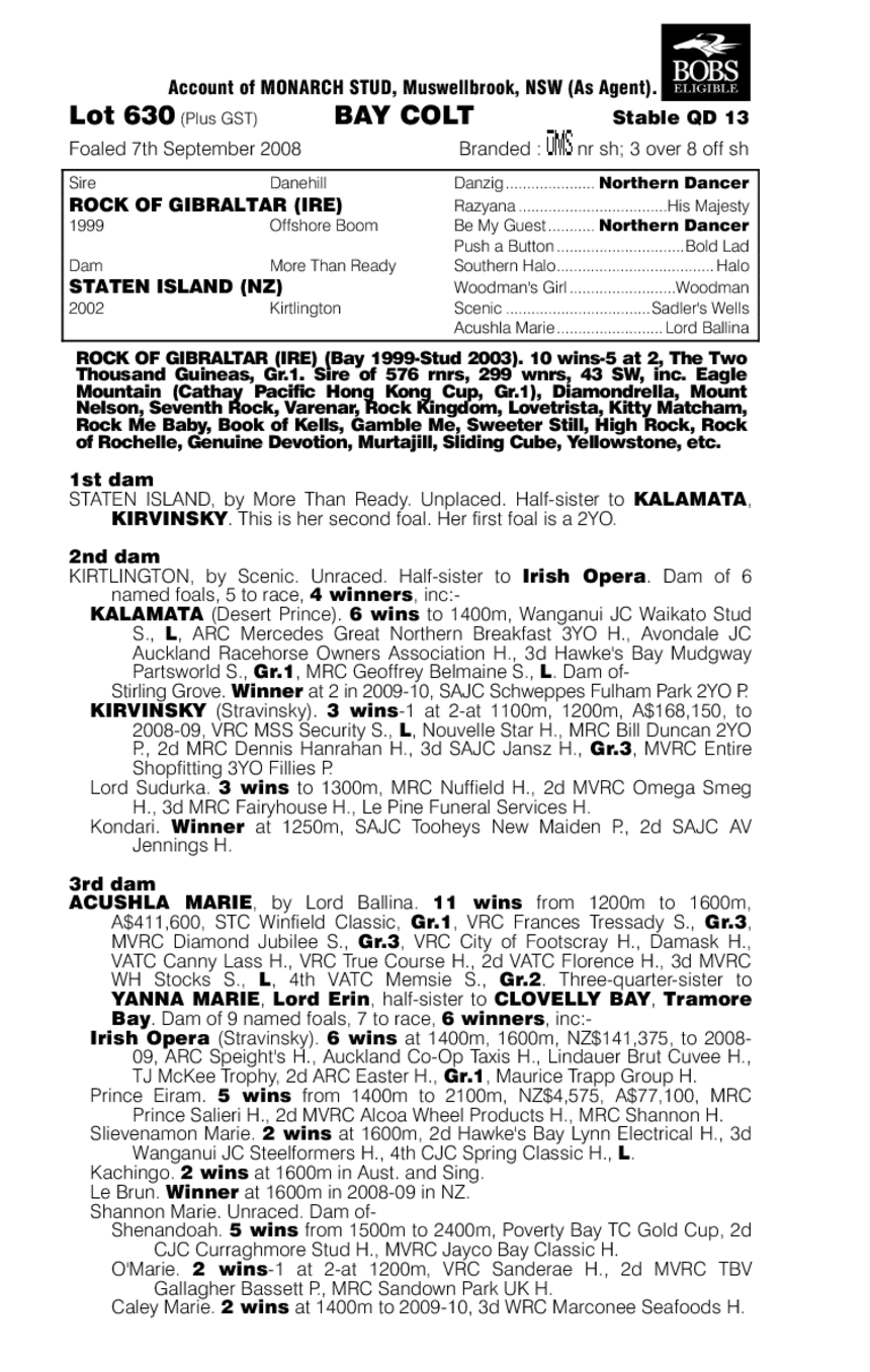 Morerockthanready - pedigree