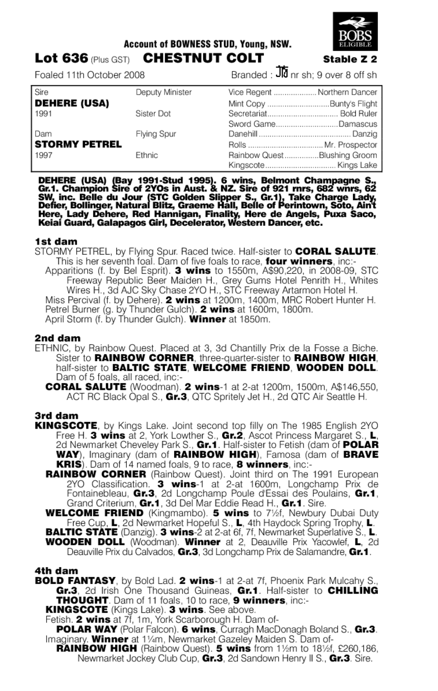 Dehere (USA) / Stormy Petrel (AUS) - pedigree