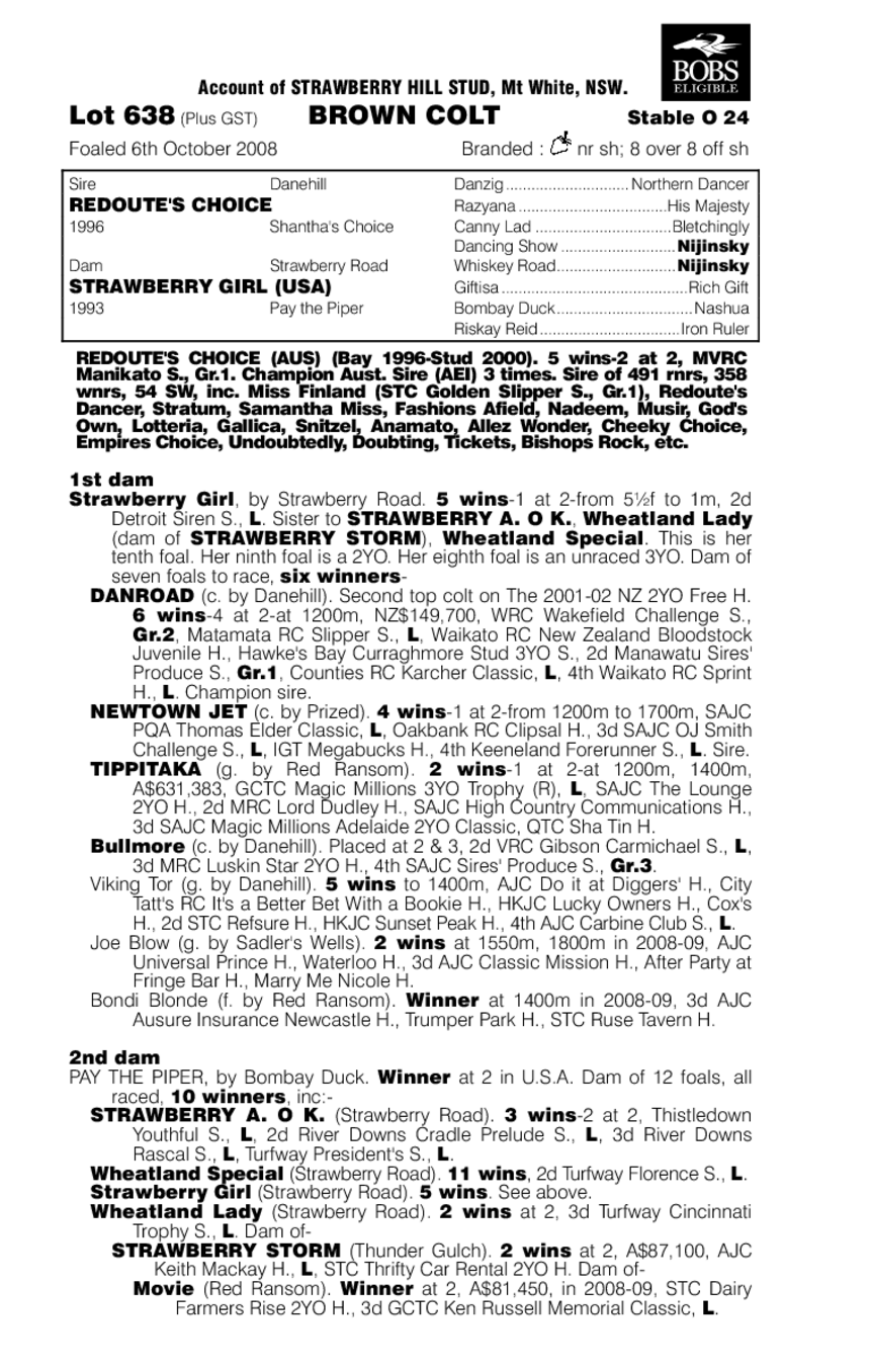 Strawberry Boy - pedigree