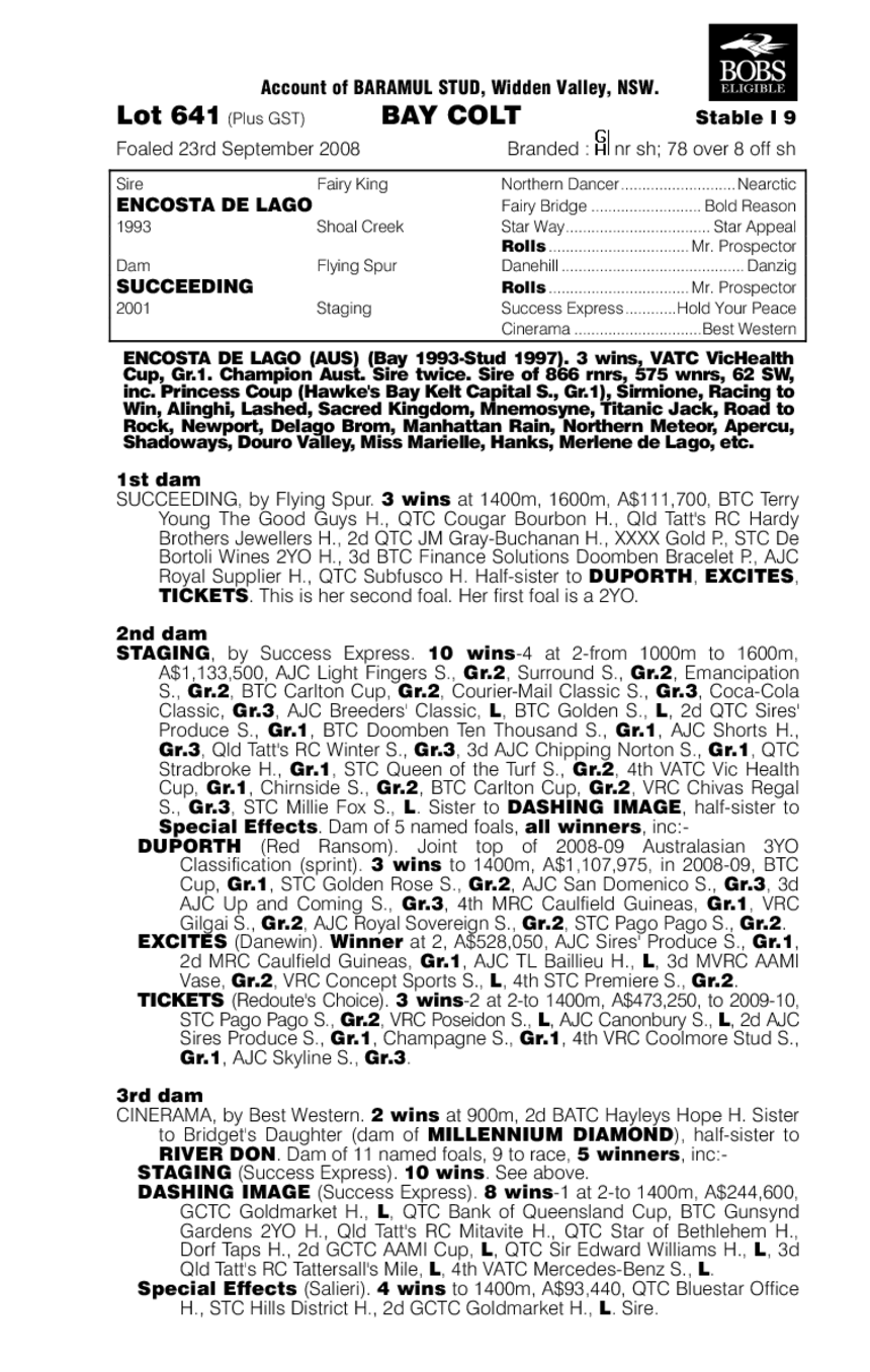 Delago Deluxe - pedigree