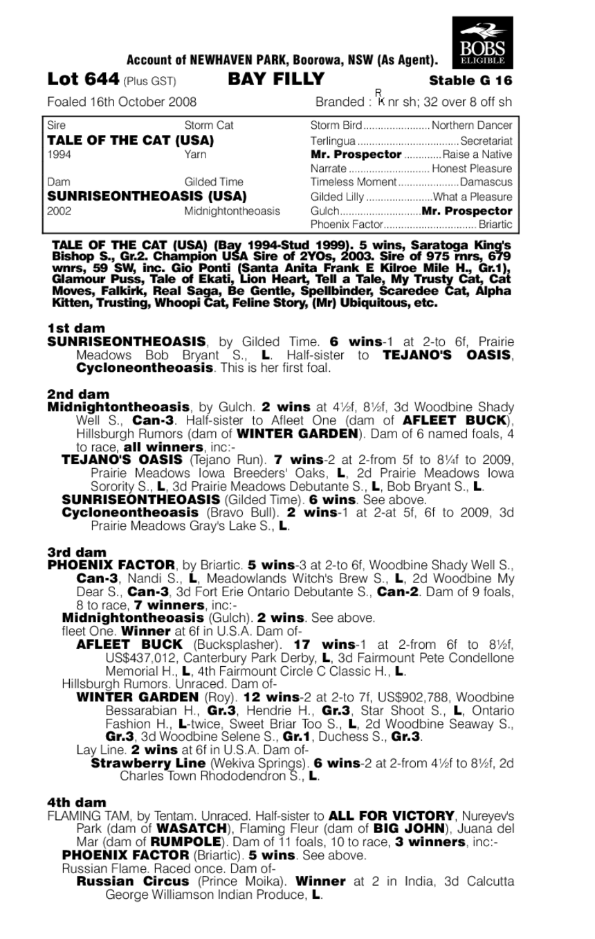 Angel Of Avalon - pedigree