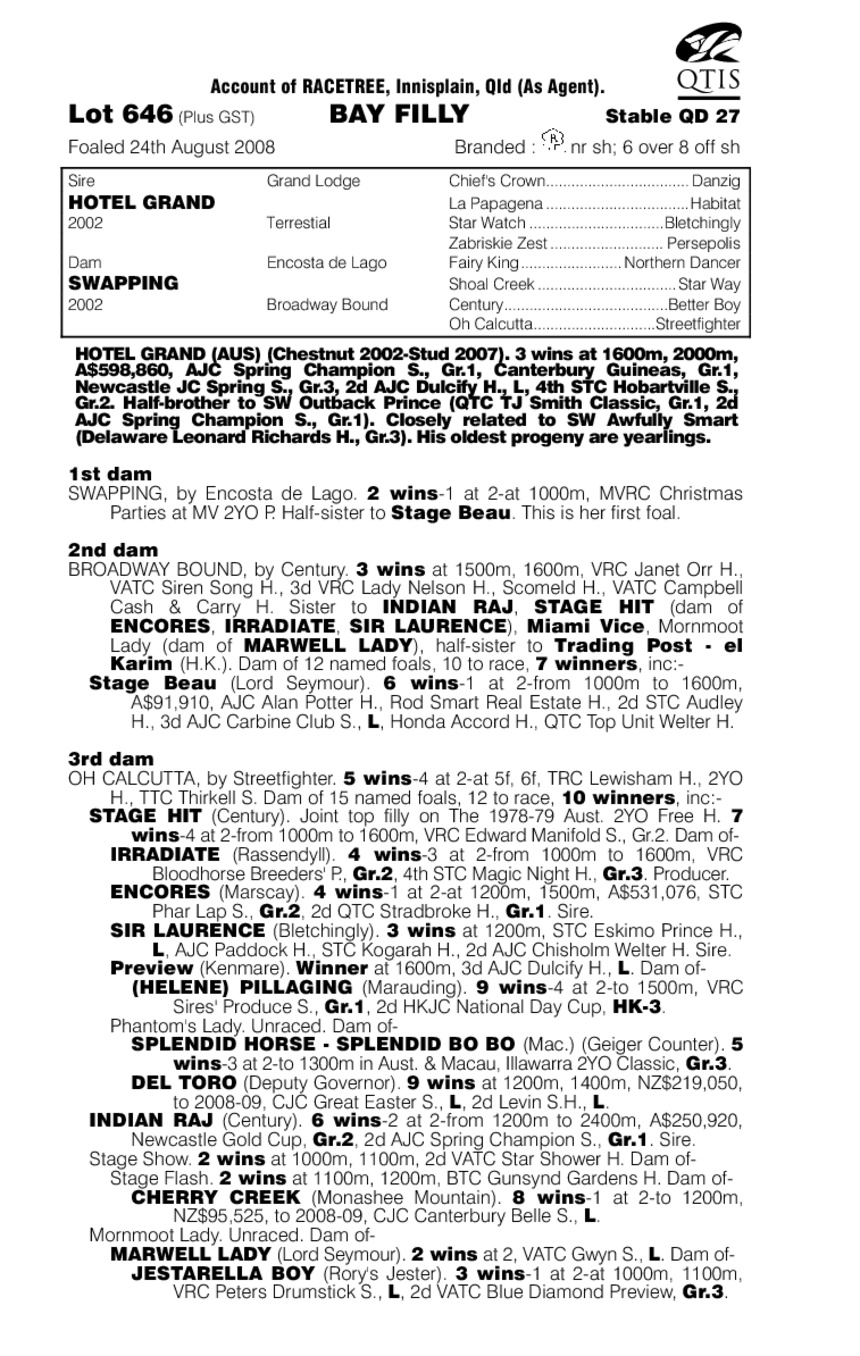 Suite Success - pedigree