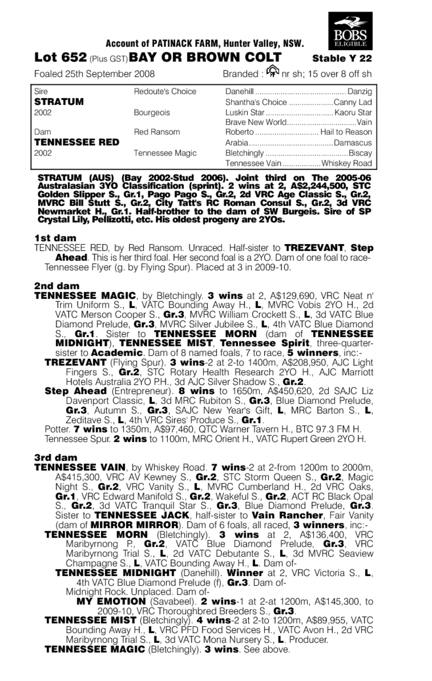 Tennessee Strategy - pedigree