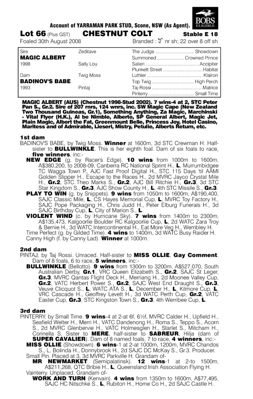 Minco Magic - pedigree