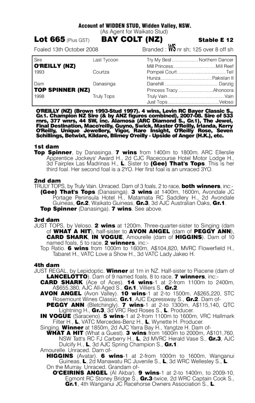 Leo's Spirit (NZ) - pedigree