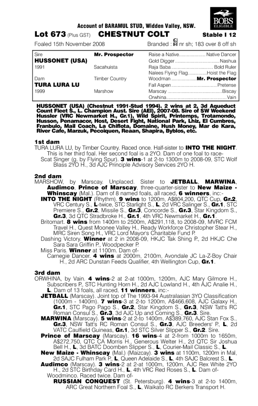 Husseling - pedigree