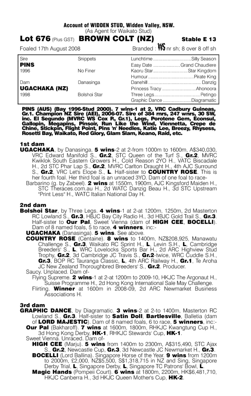 High On Believing (NZ) - pedigree