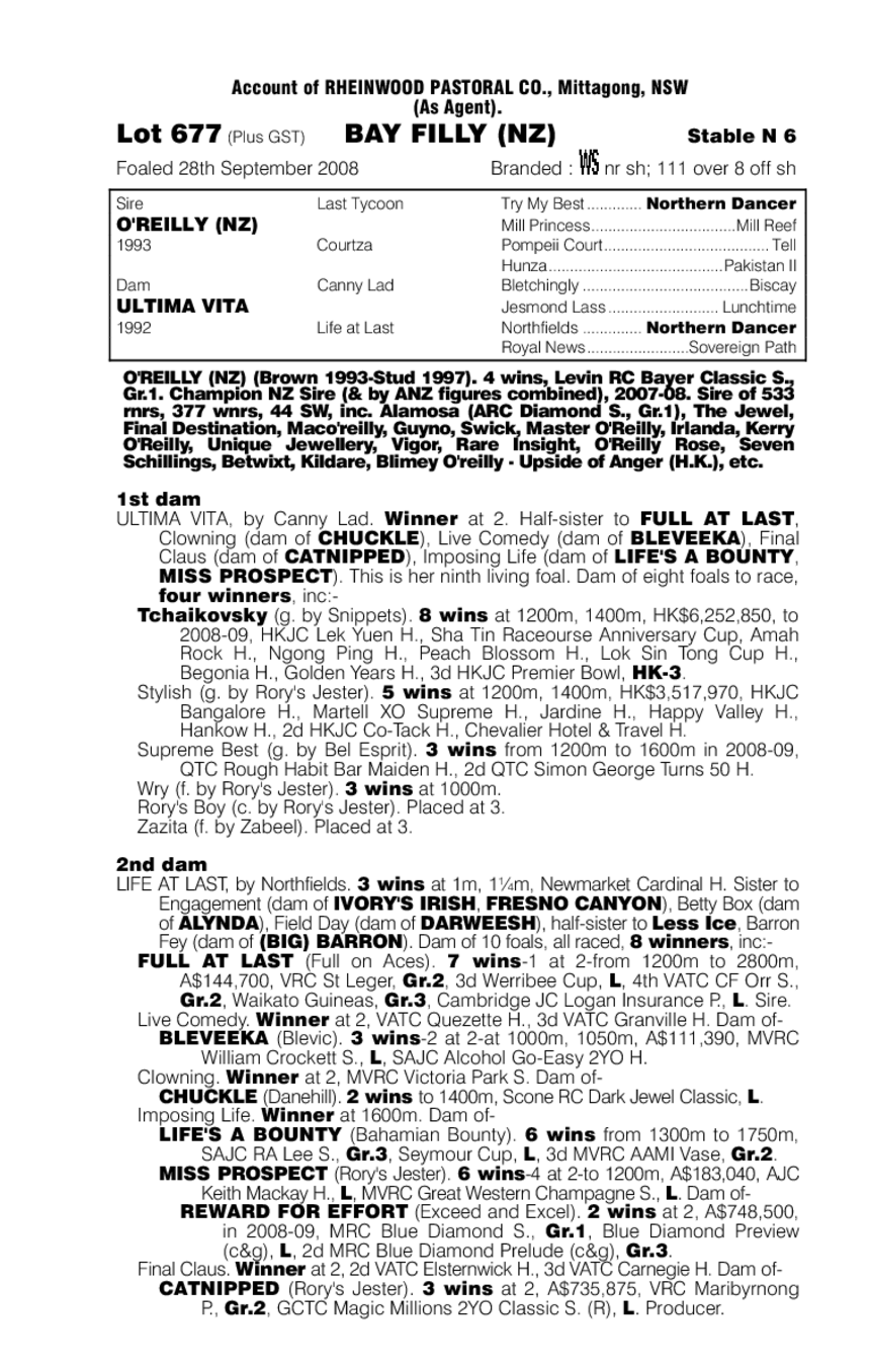 Warlady (NZ) - pedigree