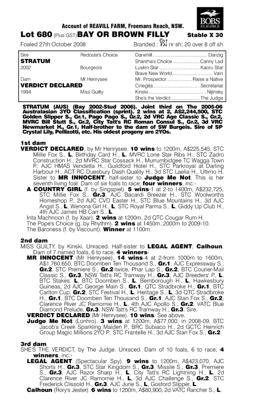 Rock The System - pedigree