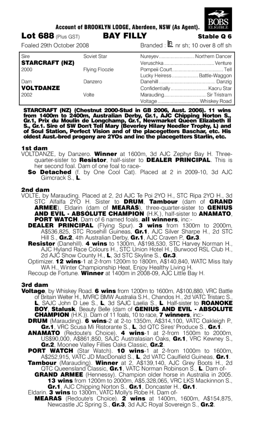 Stardanze - pedigree