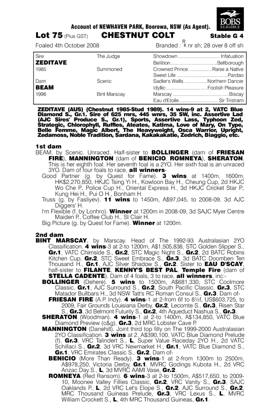 Magical Beam - pedigree