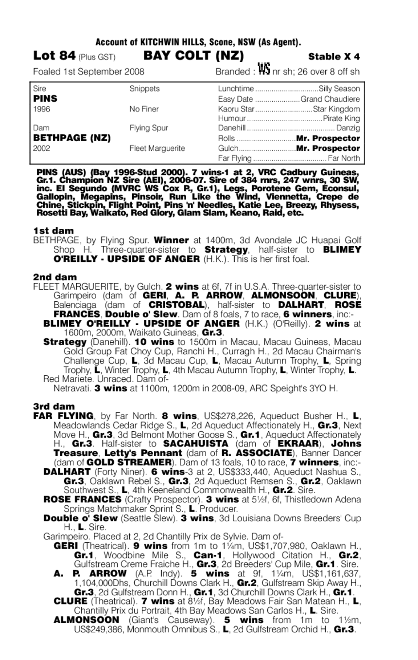 Pins (AUS) / Bethpage (NZ) - pedigree