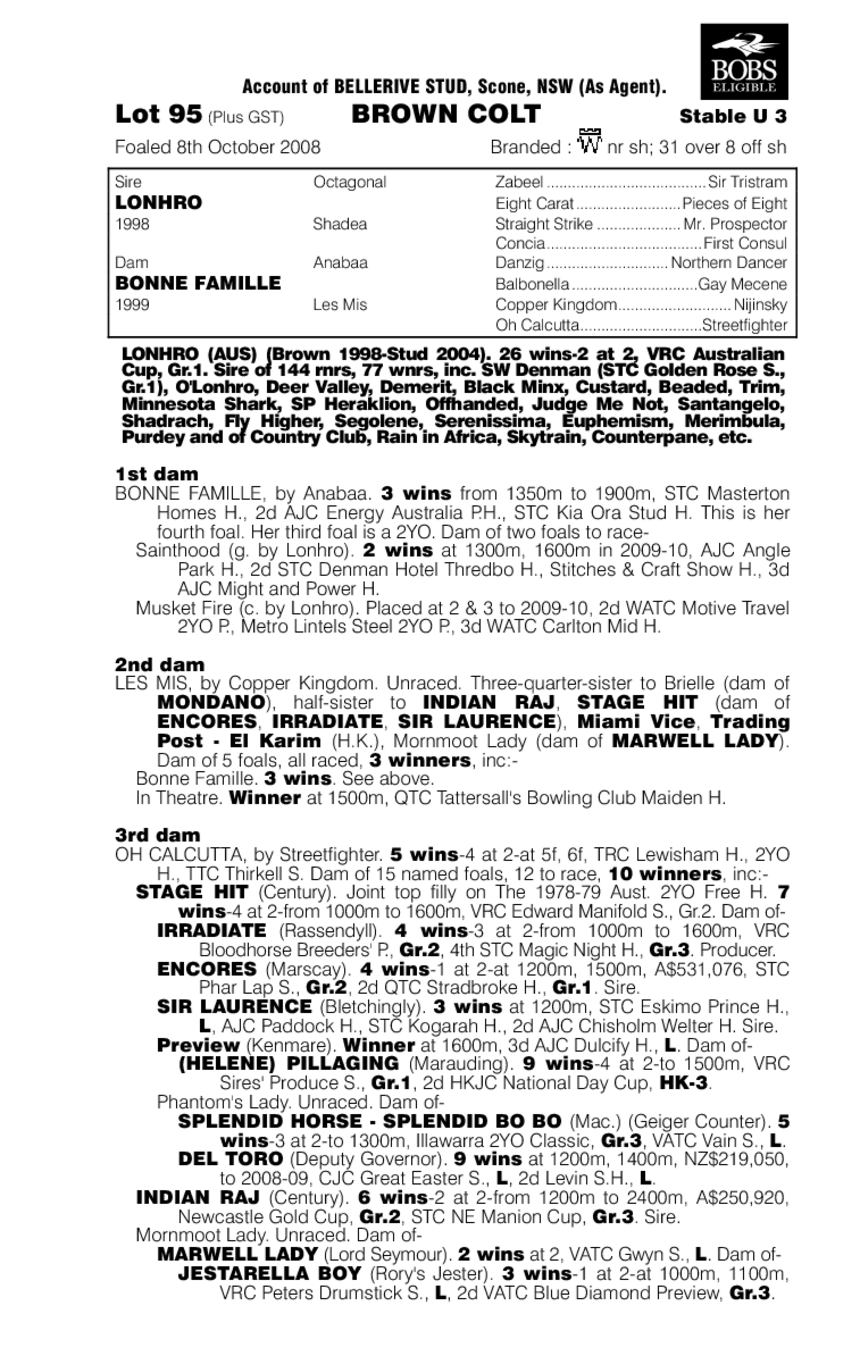 I Knew That - pedigree