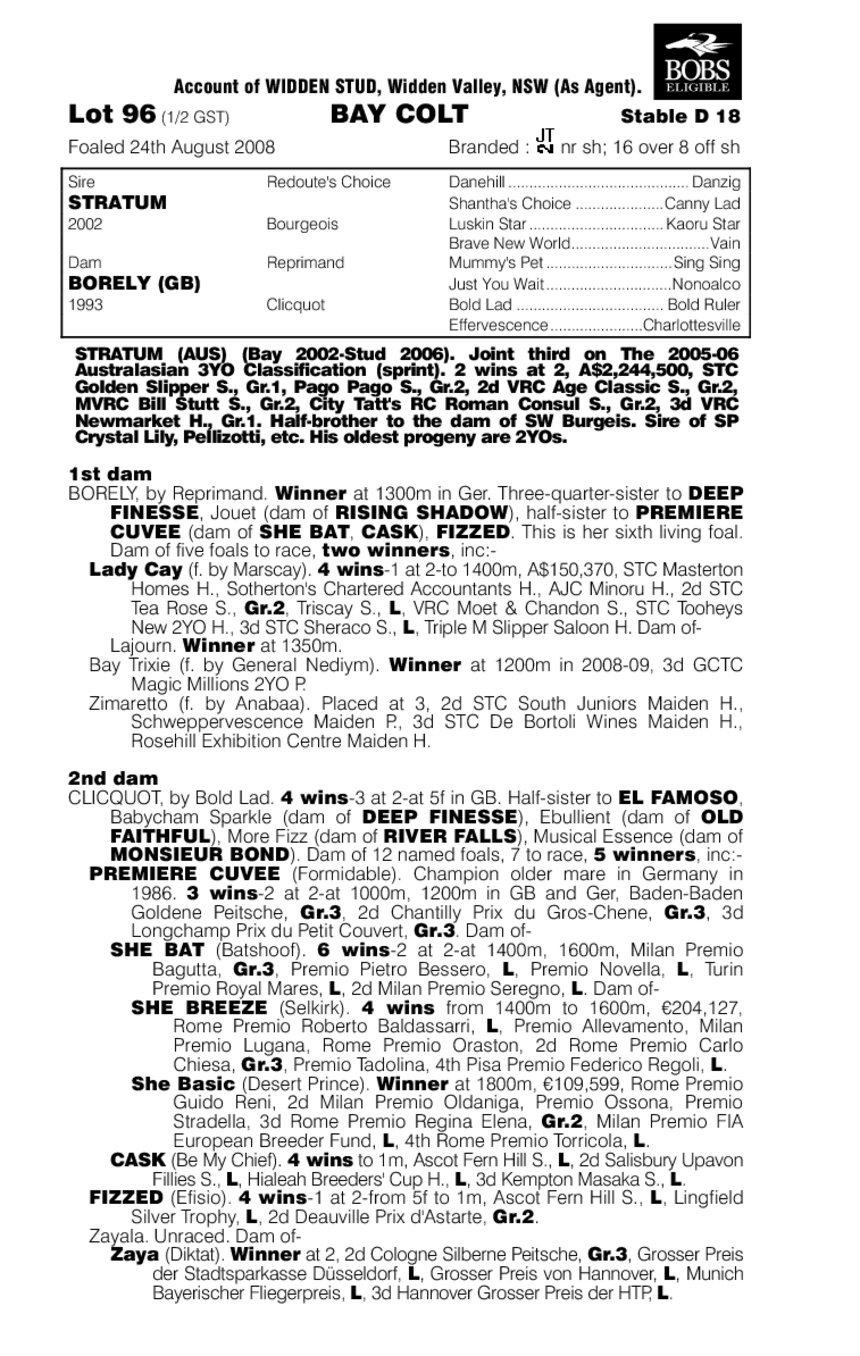 Strato Mostro - pedigree