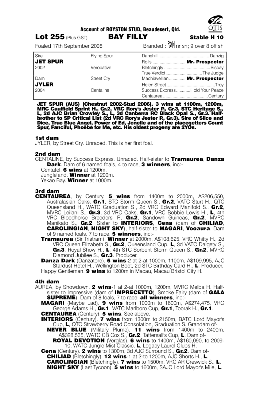 Caressable One - pedigree