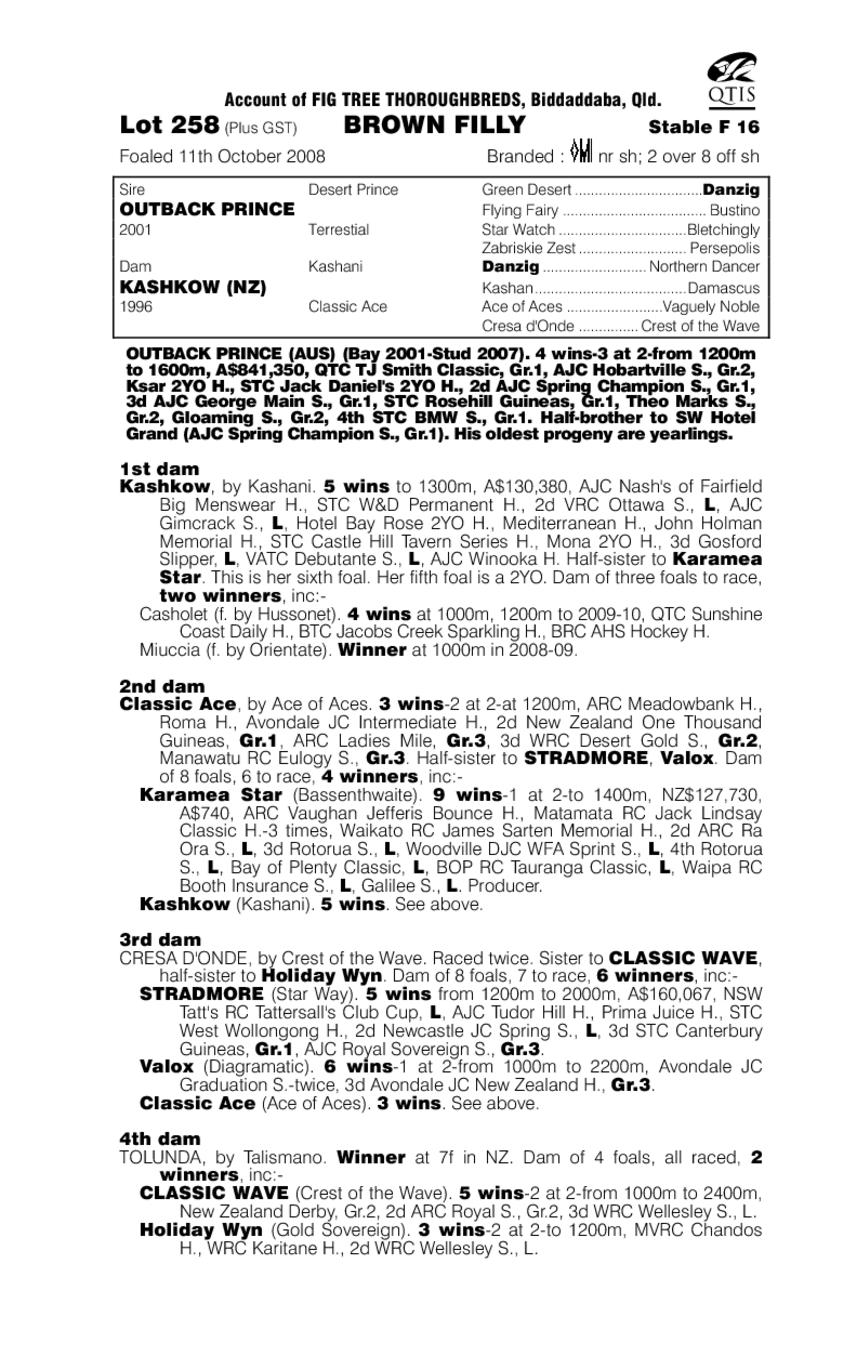 Hallowed Pearl - pedigree