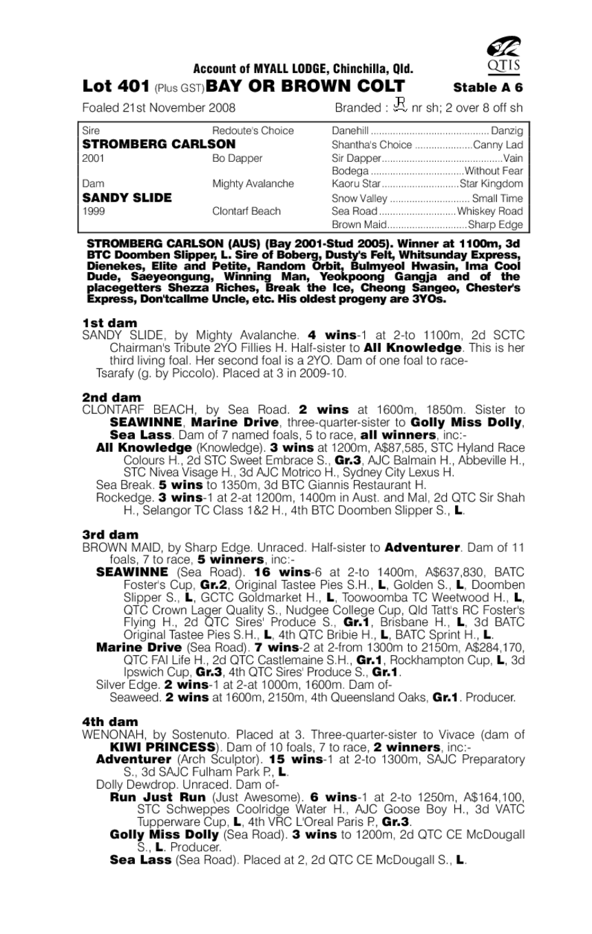 Matt Man Scoop - pedigree