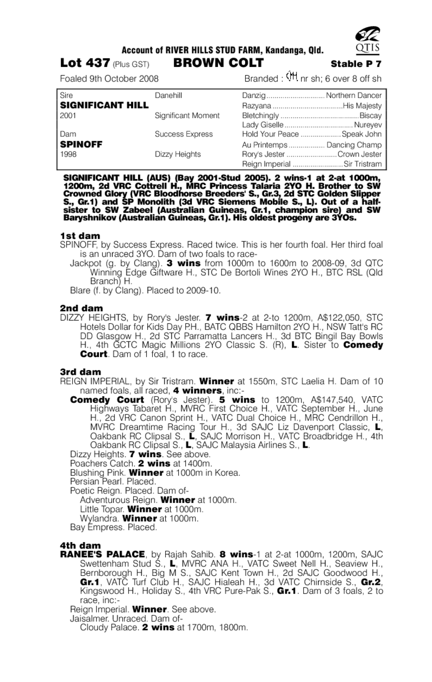 Significant Choice - pedigree