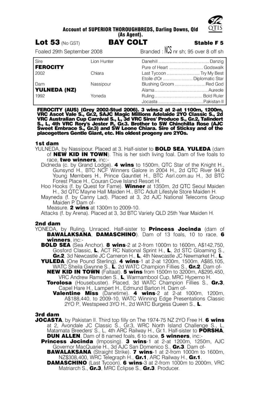 Kiddo (AUS) - pedigree