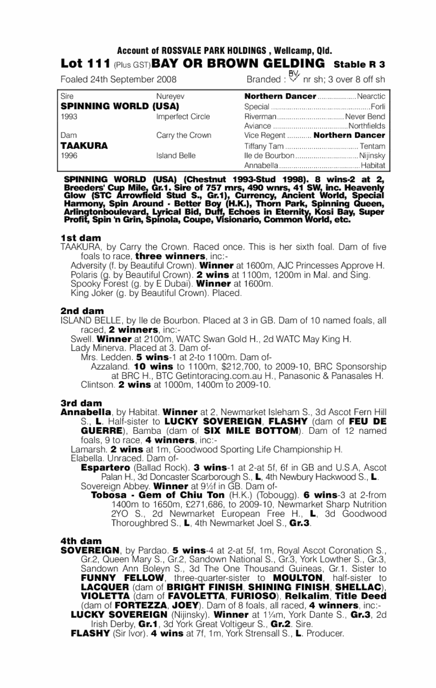 Orbiting Spirit - pedigree