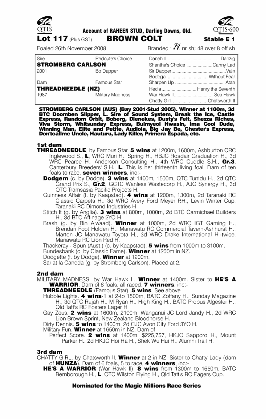 Strong Stitch - pedigree