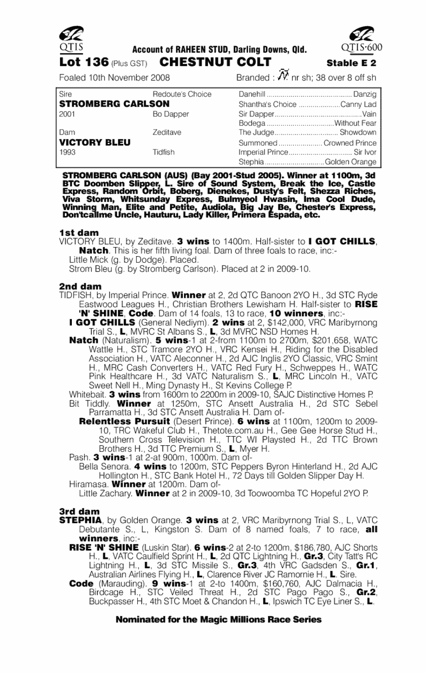 Crystal Sunrise - pedigree