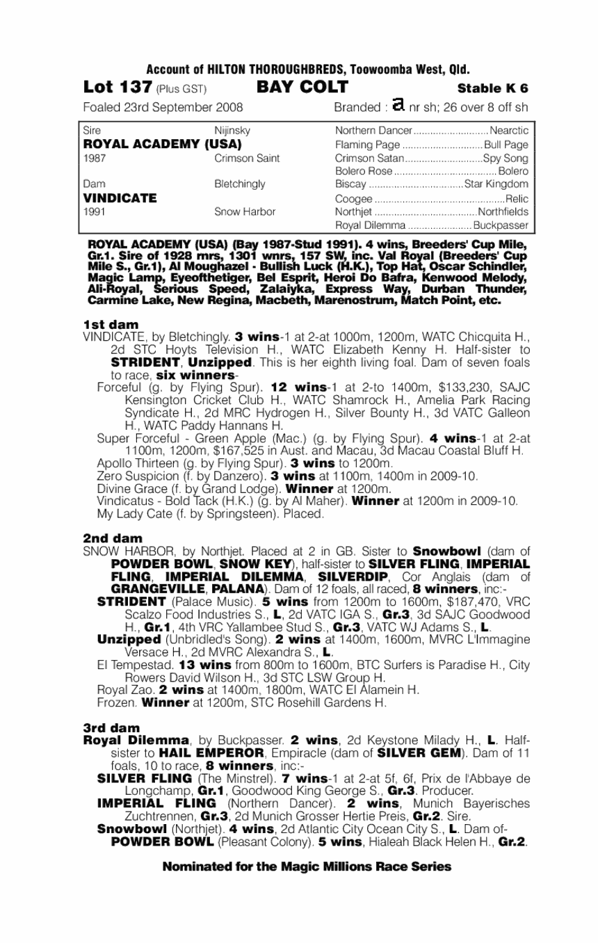 Let Me Dance - pedigree