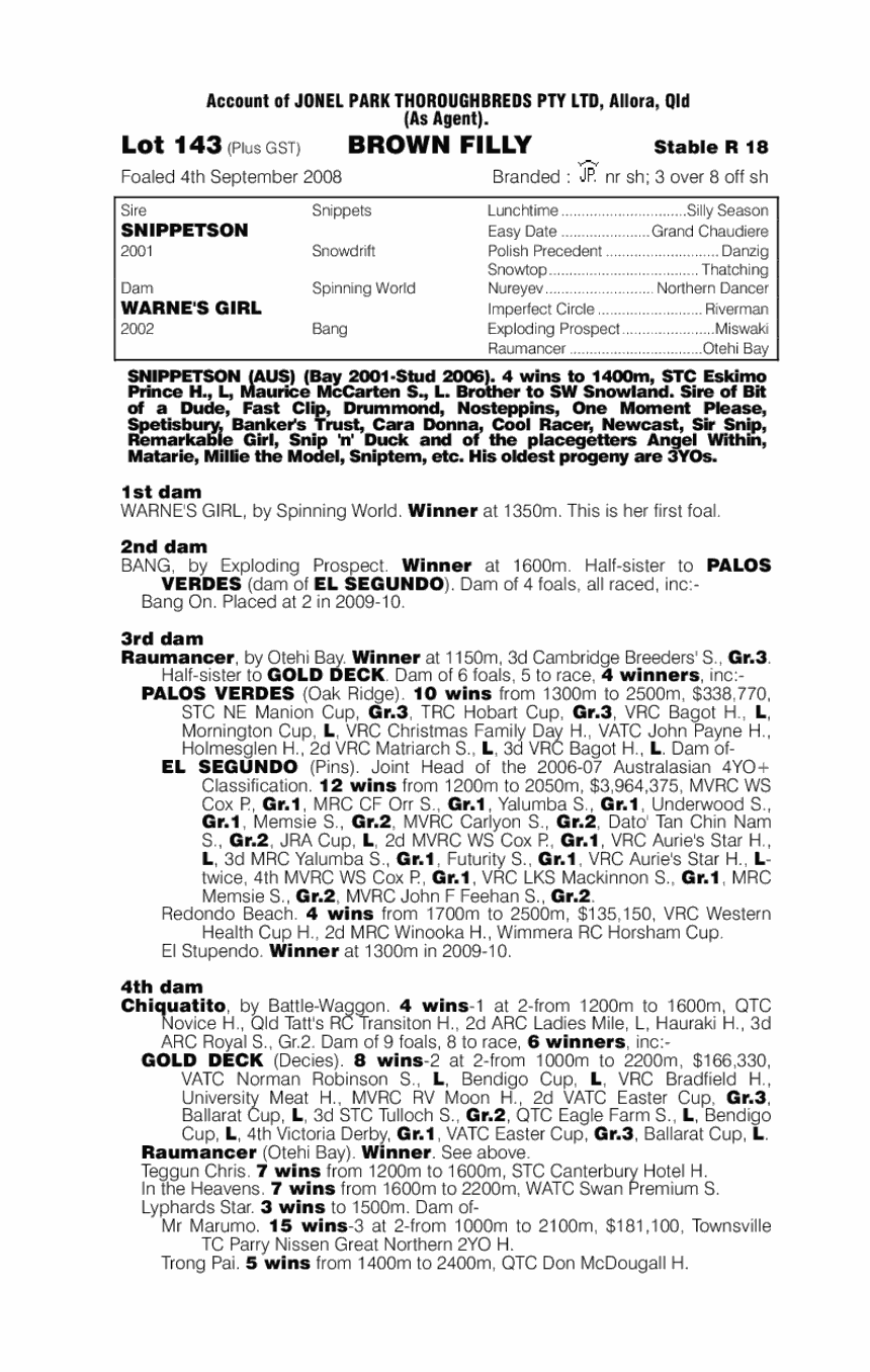 Spin's Girl - pedigree