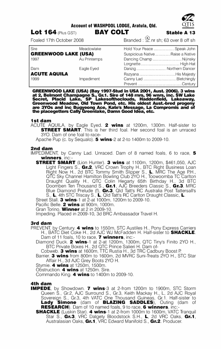 Grand Estrada - pedigree