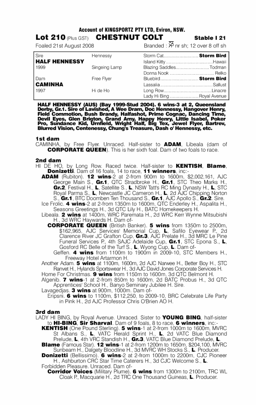 Rumpelstiltskin - pedigree