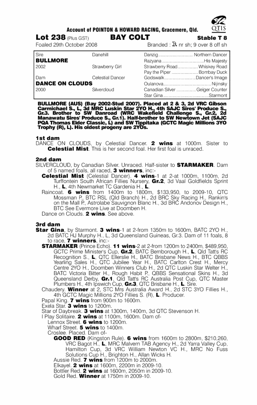 Run Willy Run - pedigree