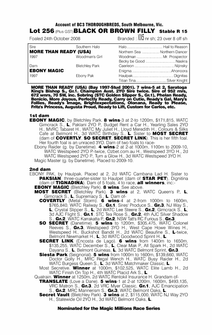 More Black Magic - pedigree