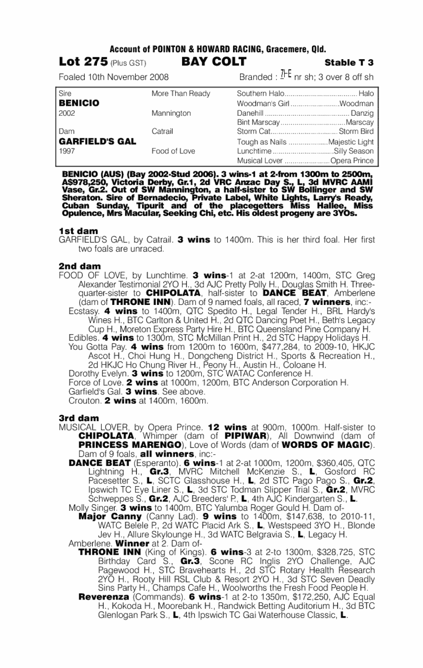 Benicio (AUS) / Garfield's Gal (AUS) - pedigree