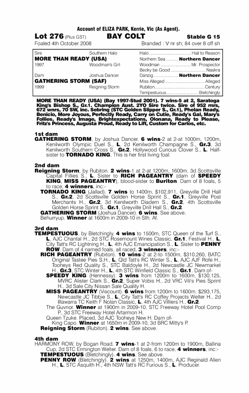 Eye Of The Storm - pedigree