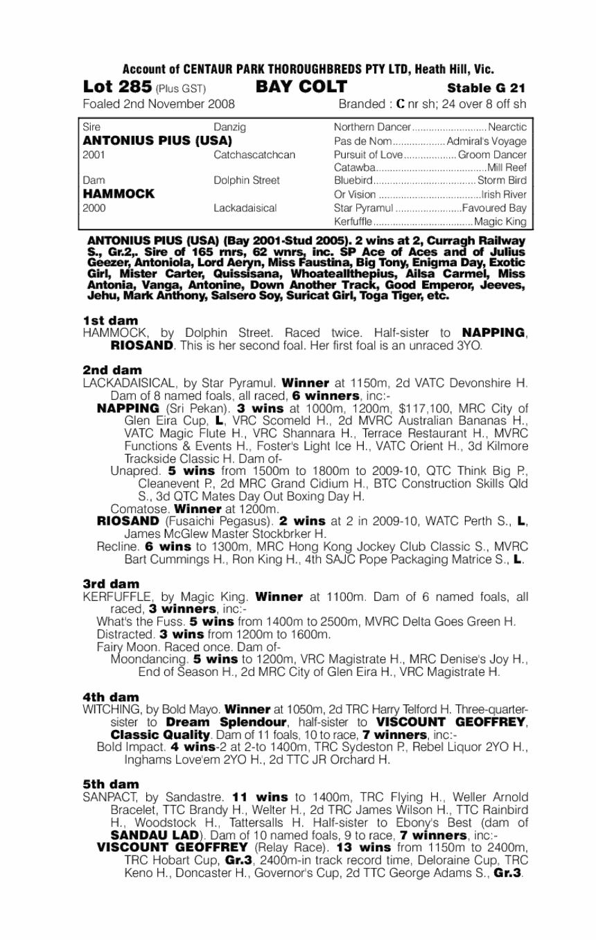 Toga Party - pedigree