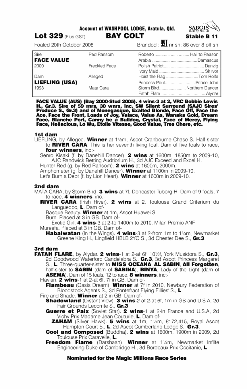 Persian Tiger - pedigree