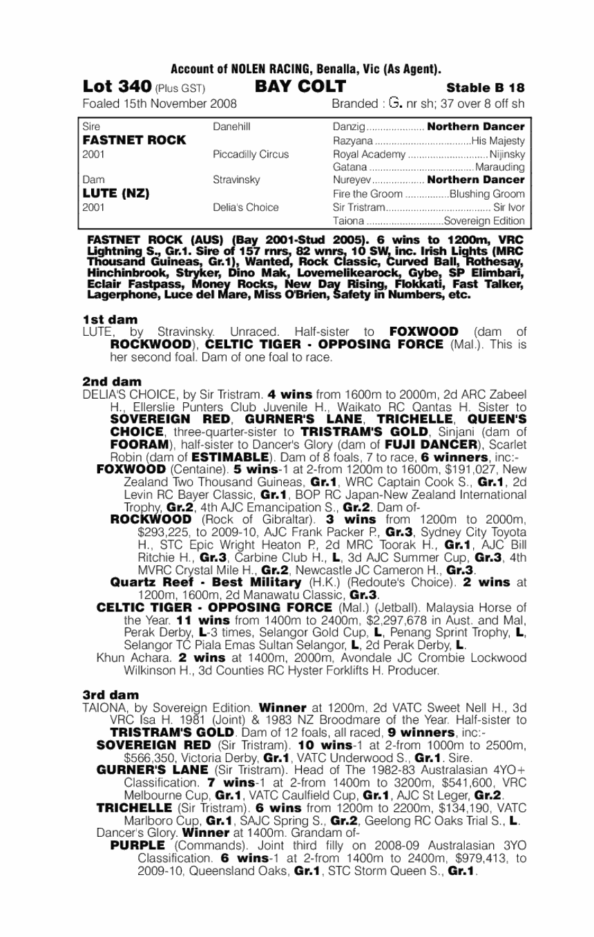 Rock Academy - pedigree