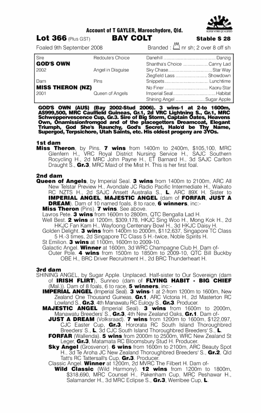 God's Own (AUS) / Miss Theron (NZ) - pedigree