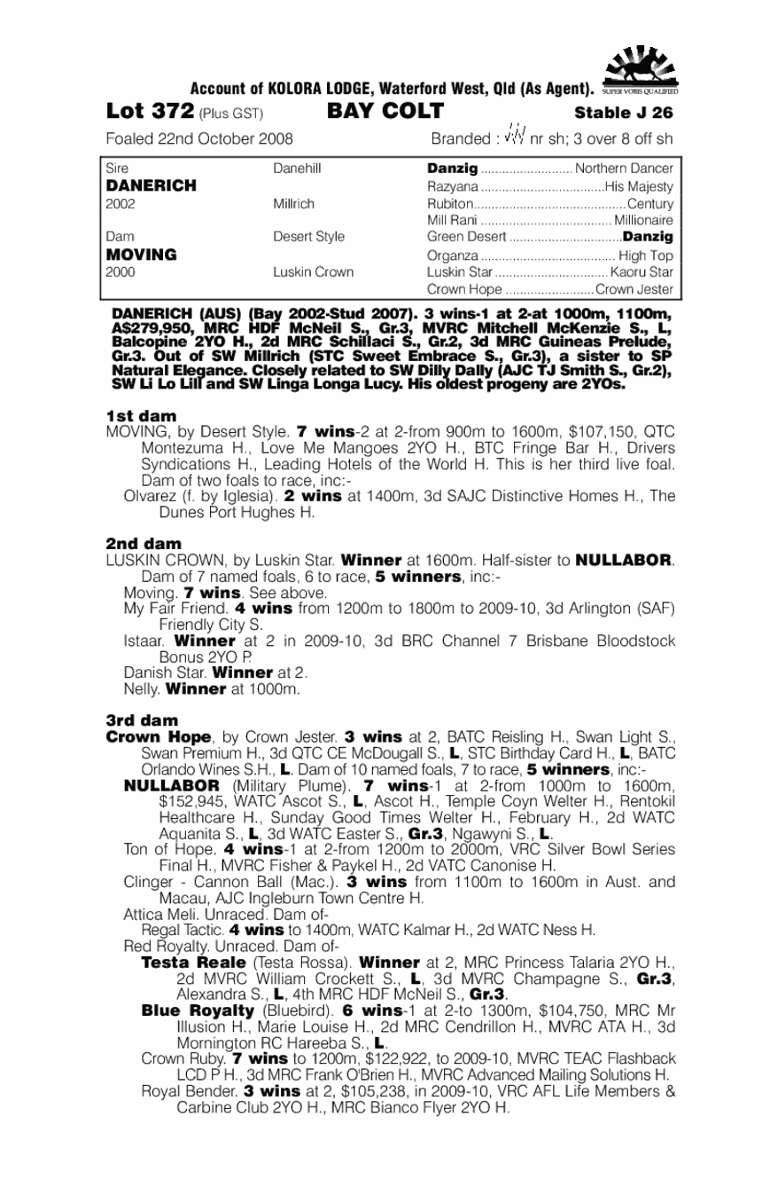 Bold Bid - pedigree