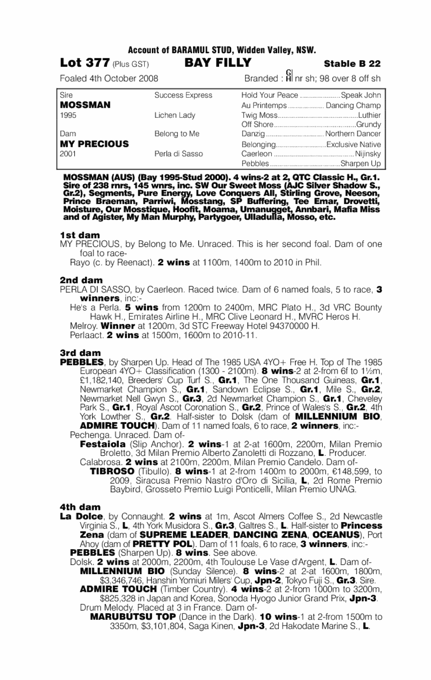 Precious Mandy - pedigree